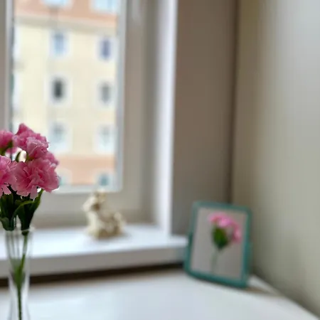 Mmrent Pirate * غدانسك