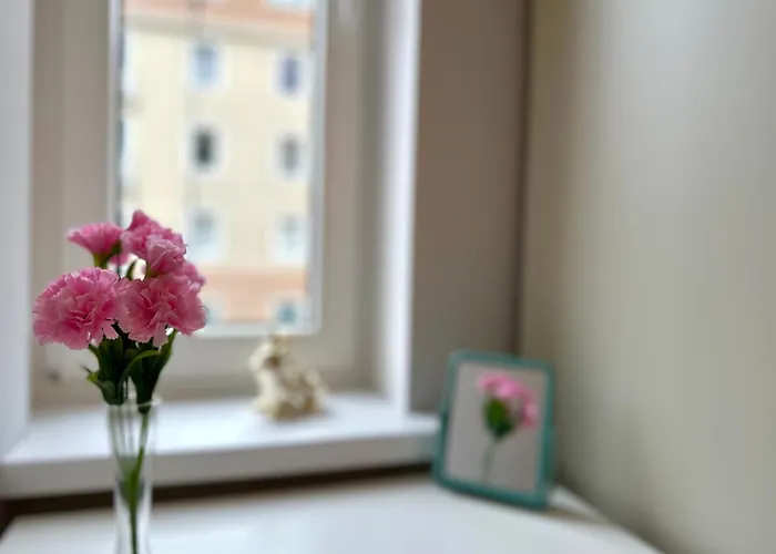 Mmrent Pirate * Gdańsk